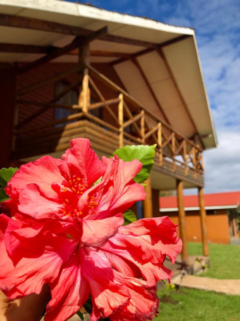 Cabanas Anavai Rapa Nui Hanga Roa Dış mekan fotoğraf